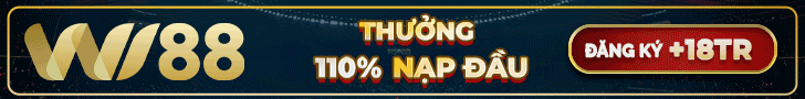 Banner WI88